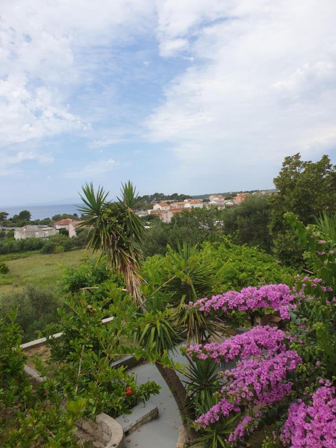 Apartments Davorka Banjol Exterior foto